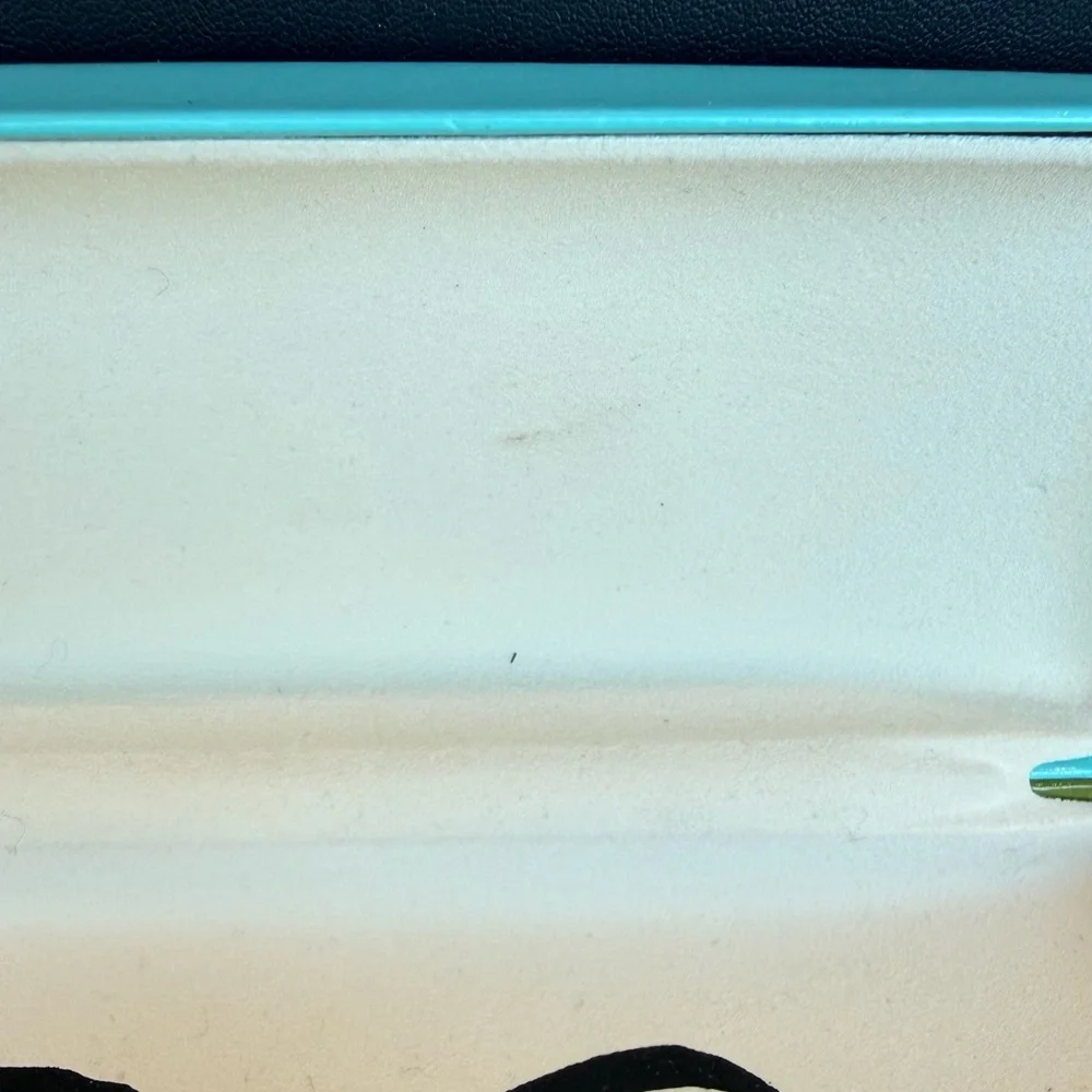 Kate Spade Glasses Case Turquoise & Green